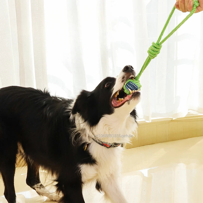 Brinquedo Interativo de Corda para Cães